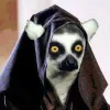 JoeyLemur